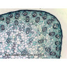 Набор микропрепаратов Bresser 100 шт., в кейсе 73765